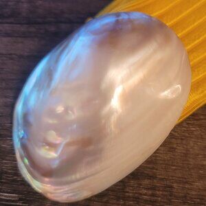 Vintage Charmant Iridescent Shell Buckle and Stretch Belt